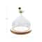 Hello Honey Glass Cloche with Wood Base and Duck Topper, Multicolor and Natural